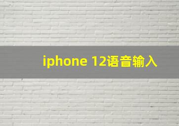 iphone 12语音输入